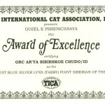 Arya's certificate0001